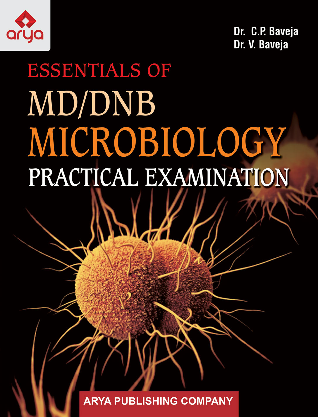 Essentials of MD/DNB Microbiology Practical Examination